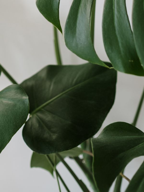 Locatie en Omgeving - Omgeving