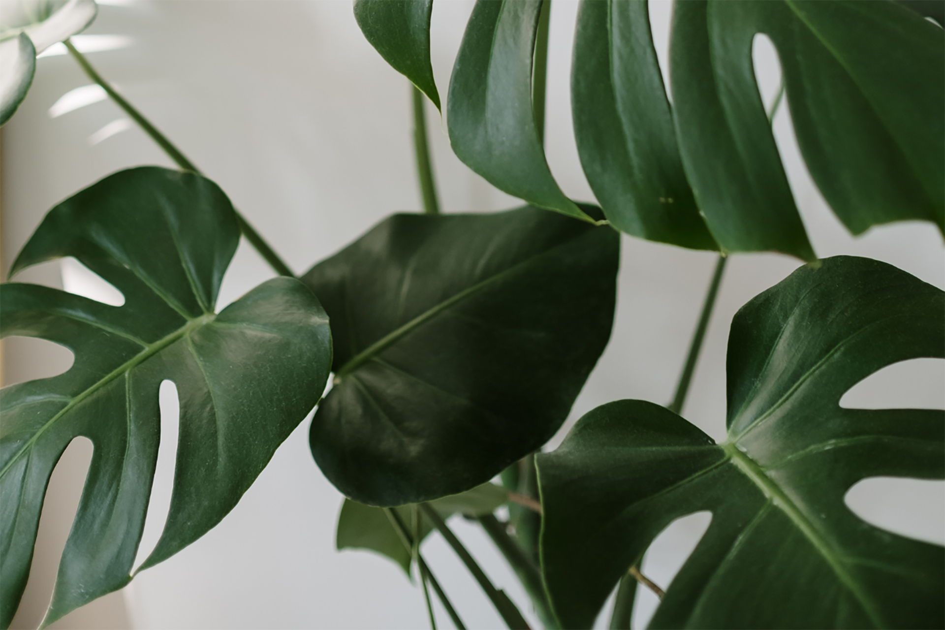 Locatie en Omgeving - Algemeen